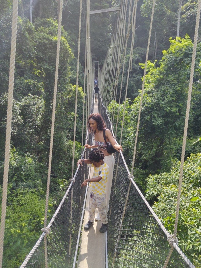 Kakum Forest